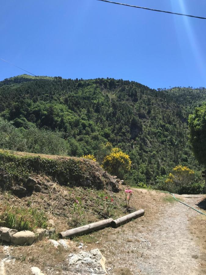 Villa La Ferme Des Cailletiers Chez Marco Lucéram Esterno foto